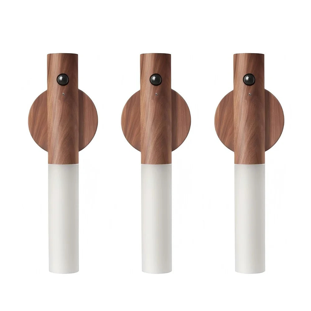 Portable LED Magnetic Sensor Light